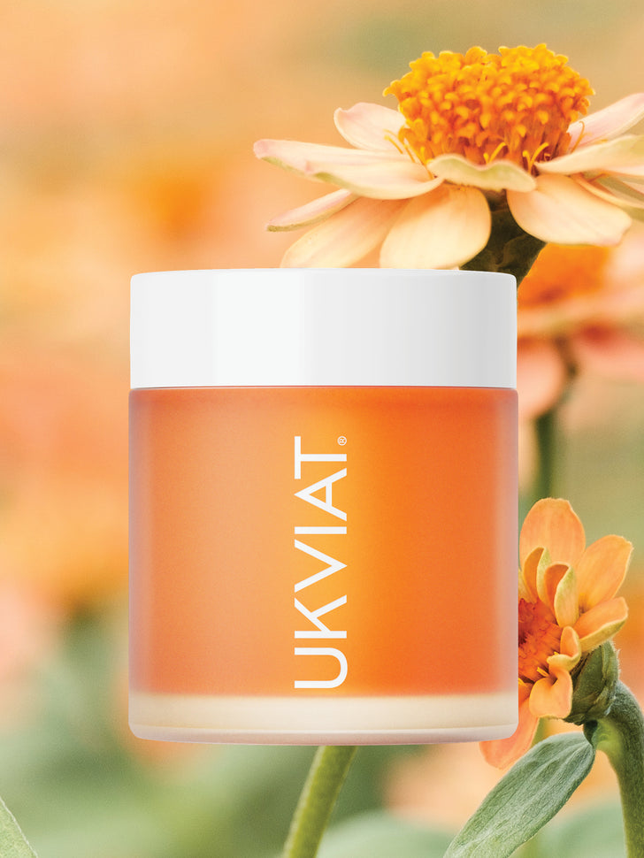 Oczyszczenie i <br> odżywienie